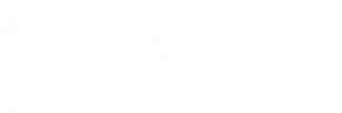 geotronicts